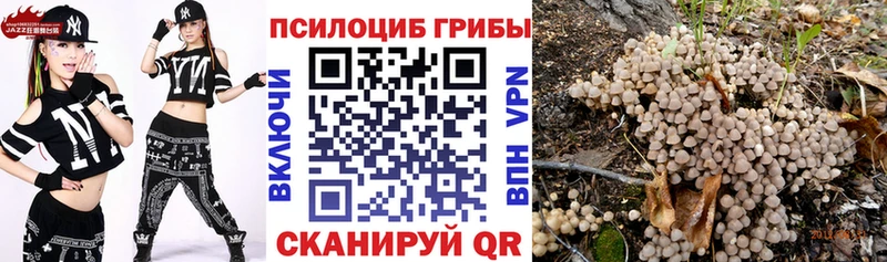 Галлюциногенные грибы ЛСД  Клинцы 