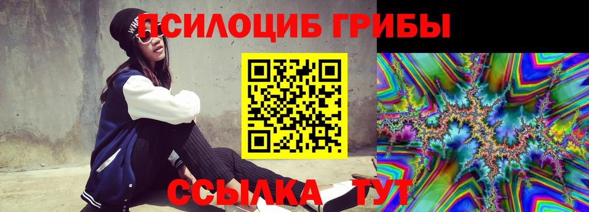 Клинцы  Псилоцибиновые грибы Psilocybine cubensis  Вход с VPN 