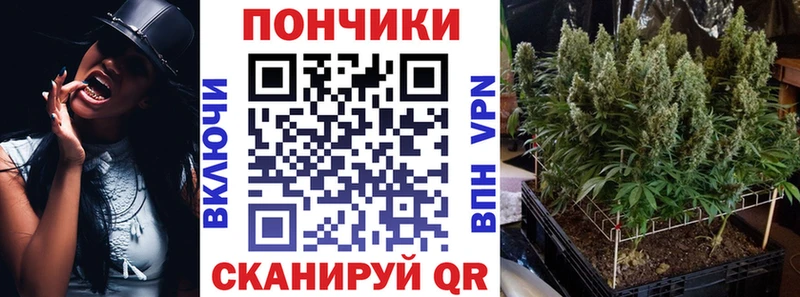 Бошки Шишки THC 21%  как найти закладки  Клинцы 